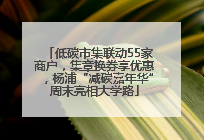低碳市集联动55家商户，集章换券享优惠，杨浦“减碳嘉年华”周末亮相大学路