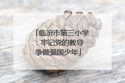 临汾市第三小学：牢记党的教导 争做强国少年