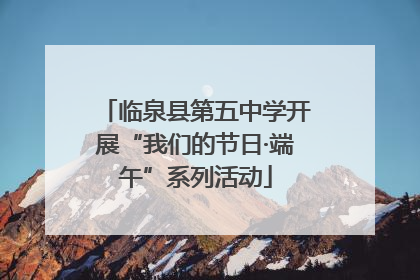 临泉县第五中学开展“我们的节日·端午”系列活动