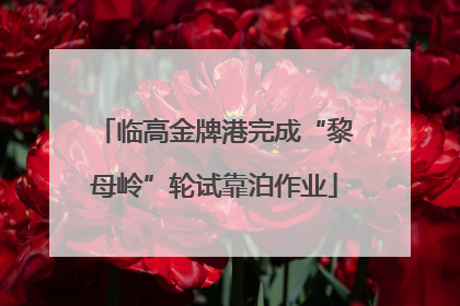 临高金牌港完成“黎母岭”轮试靠泊作业