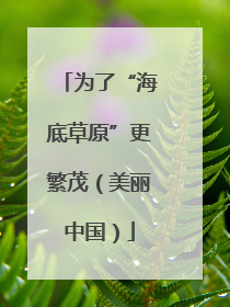 为了“海底草原”更繁茂（美丽中国）