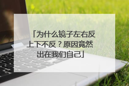 为什么镜子左右反上下不反？原因竟然出在我们自己