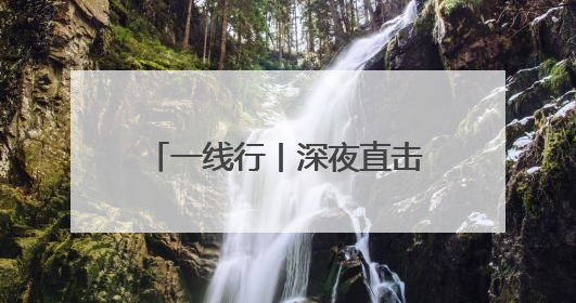 一线行丨深夜直击杭州机场，浙产杨梅“飞”赴各地市场