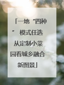 一地“四种” 模式任选 从定制小菜园看城乡融合新图景