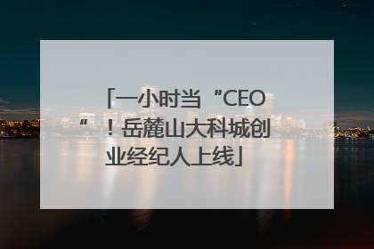 一小时当“CEO”！岳麓山大科城创业经纪人上线