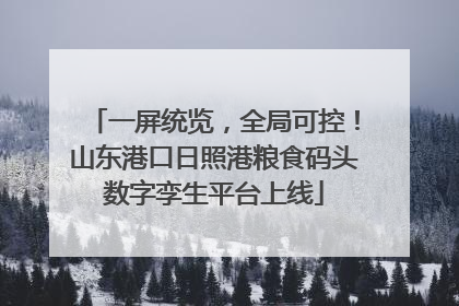 一屏统览，全局可控！山东港口日照港粮食码头数字孪生平台上线