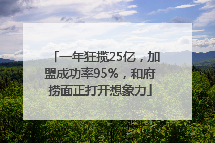 一年狂揽25亿，加盟成功率95%，和府捞面正打开想象力