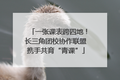 一张课表跨四地！长三角团校协作联盟携手共育“青课”