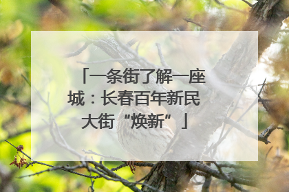 一条街了解一座城：长春百年新民大街“焕新”