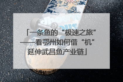 一条鱼的“极速之旅”——看鄂州如何借“机”延伸武昌鱼产业链