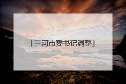 三河市委书记调整