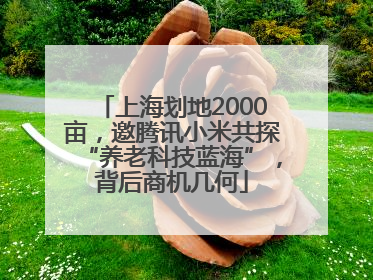 上海划地2000亩，邀腾讯小米共探“养老科技蓝海”，背后商机几何