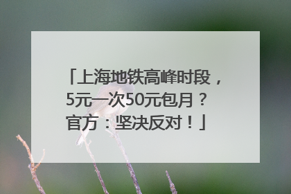 上海地铁高峰时段，5元一次50元包月？官方：坚决反对！
