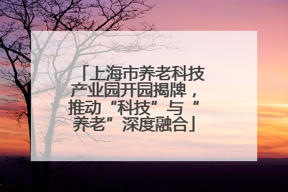上海市养老科技产业园开园揭牌，推动“科技”与“养老”深度融合