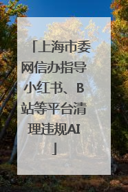 上海市委网信办指导小红书、B站等平台清理违规AI