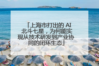 上海市打出的 AI 北斗七星，为何能实现从技术研发到产业协同的闭环生态