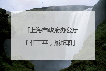 上海市政府办公厅主任王平，履新职