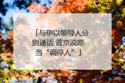 与伊以领导人分别通话 普京说愿当“调停人”