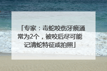 专家：毒蛇咬伤牙痕通常为2个，被咬后尽可能记清蛇特征或拍照