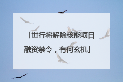世行将解除核能项目融资禁令，有何玄机