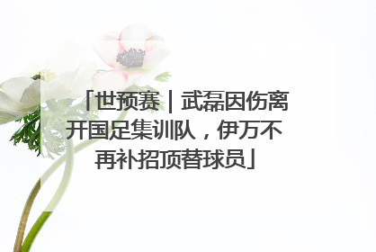 世预赛｜武磊因伤离开国足集训队，伊万不再补招顶替球员
