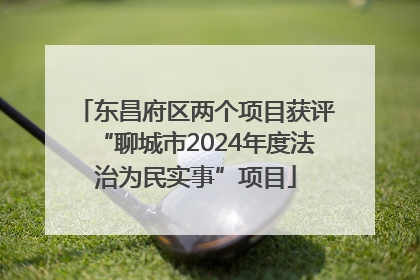 东昌府区两个项目获评“聊城市2024年度法治为民实事”项目