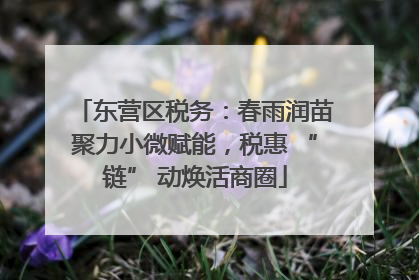 东营区税务：春雨润苗聚力小微赋能，税惠 “链” 动焕活商圈