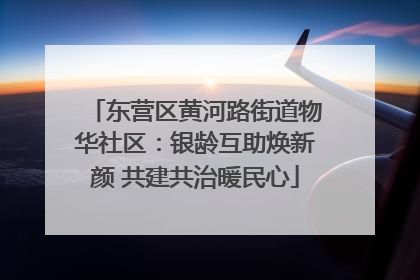 东营区黄河路街道物华社区：银龄互助焕新颜 共建共治暖民心