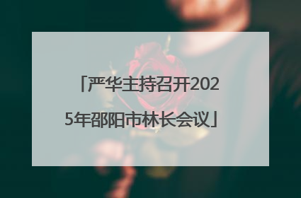 严华主持召开2025年邵阳市林长会议