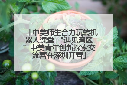 中美师生合力玩转机器人课堂 “遇见湾区”中美青年创新探索交流营在深圳开营
