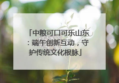 中粮可口可乐山东：端午创新互动，守护传统文化根脉
