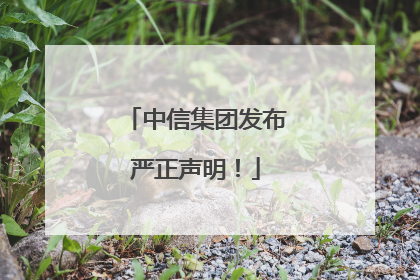 中信集团发布严正声明！