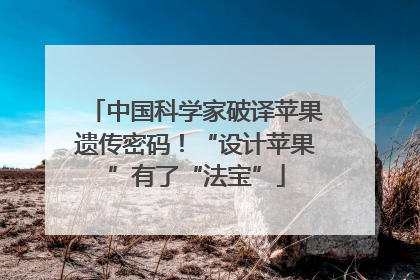 中国科学家破译苹果遗传密码！“设计苹果”有了“法宝”