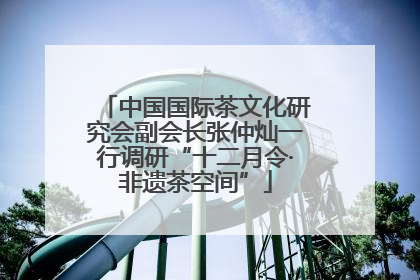 中国国际茶文化研究会副会长张仲灿一行调研“十二月令·非遗茶空间”