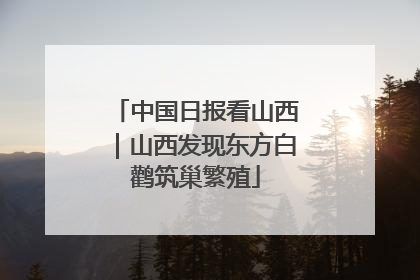 中国日报看山西｜山西发现东方白鹳筑巢繁殖