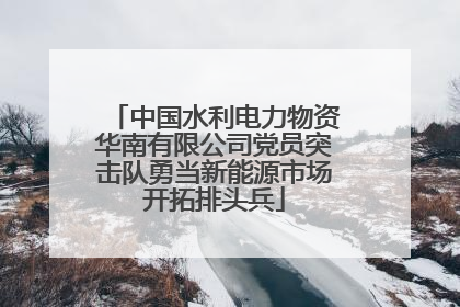 中国水利电力物资华南有限公司党员突击队勇当新能源市场开拓排头兵