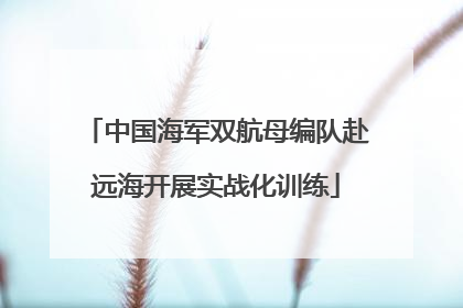 中国海军双航母编队赴远海开展实战化训练