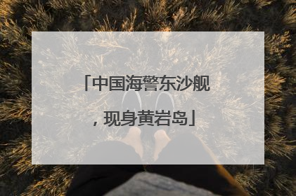 中国海警东沙舰，现身黄岩岛