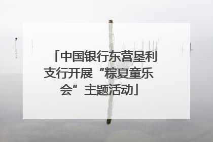 中国银行东营垦利支行开展“粽夏童乐会”主题活动
