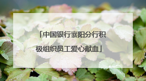 中国银行襄阳分行积极组织员工爱心献血