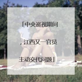 中央巡视期间，江西又一官员主动交代问题