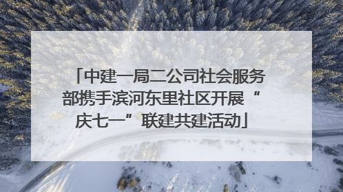中建一局二公司社会服务部携手滨河东里社区开展“庆七一”联建共建活动