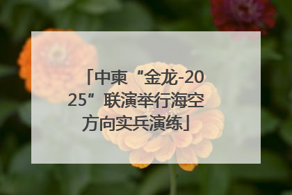 中柬“金龙-2025”联演举行海空方向实兵演练