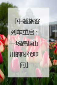 中越旅客列车重启：一场跨越山川的时代叩问