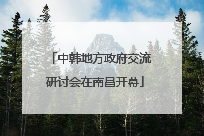 中韩地方政府交流研讨会在南昌开幕