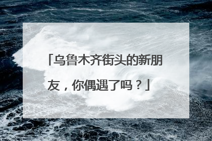 乌鲁木齐街头的新朋友，你偶遇了吗？