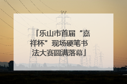 乐山市首届“嘉祥杯”现场硬笔书法大赛圆满落幕