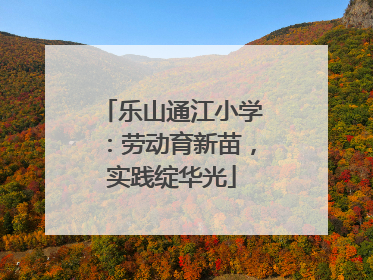 乐山通江小学：劳动育新苗，实践绽华光