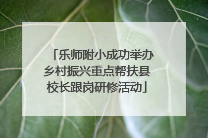 乐师附小成功举办乡村振兴重点帮扶县校长跟岗研修活动