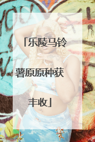 乐陵马铃薯原原种获丰收
